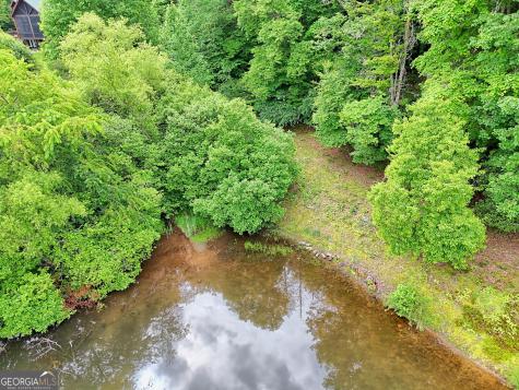 56 Walker Ridge Way Mineral Bluff GA 30559