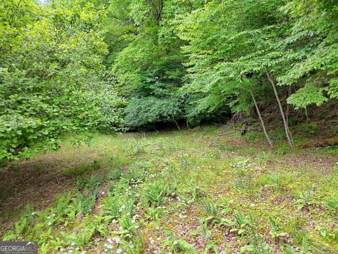 56 Walker Ridge Way Mineral Bluff GA 30559