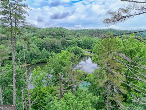 56 Walker Ridge Way Mineral Bluff GA 30559