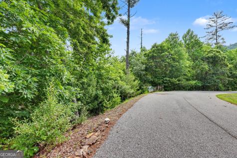 56 Walker Ridge Way Mineral Bluff GA 30559