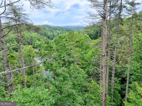 56 Walker Ridge Way Mineral Bluff GA 30559