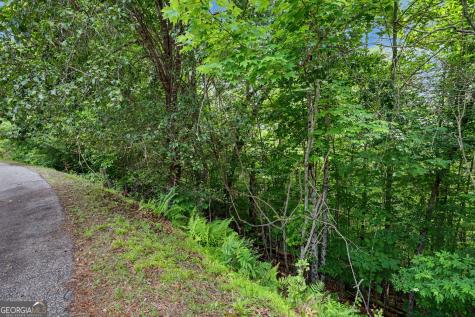 56 Walker Ridge Way Mineral Bluff GA 30559
