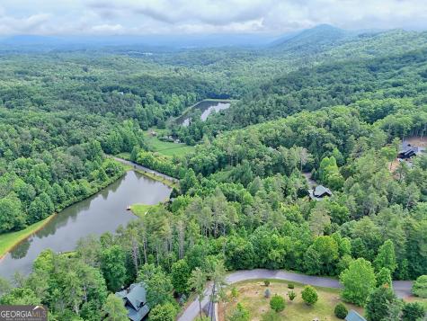56 Walker Ridge Way Mineral Bluff GA 30559