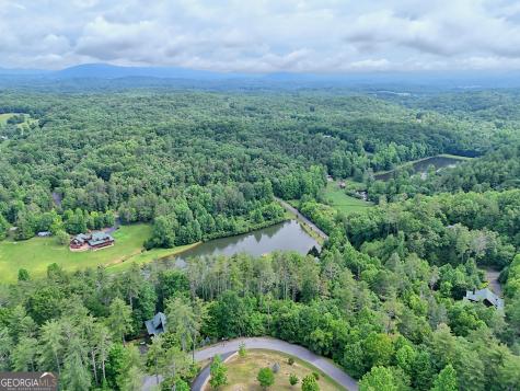 56 Walker Ridge Way Mineral Bluff GA 30559