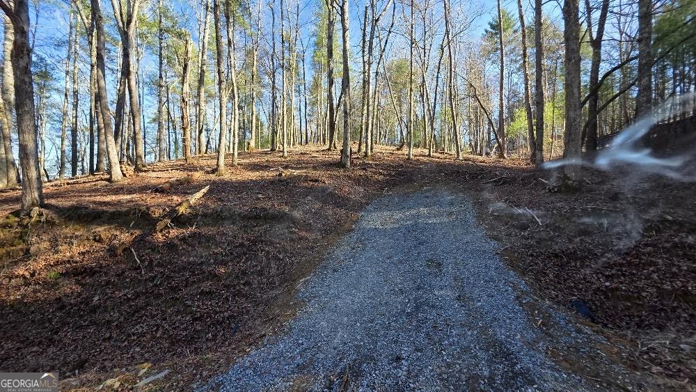 151 Rhondas Way East Ellijay GA 30540