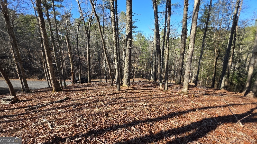 151 Rhondas Way East Ellijay GA 30540