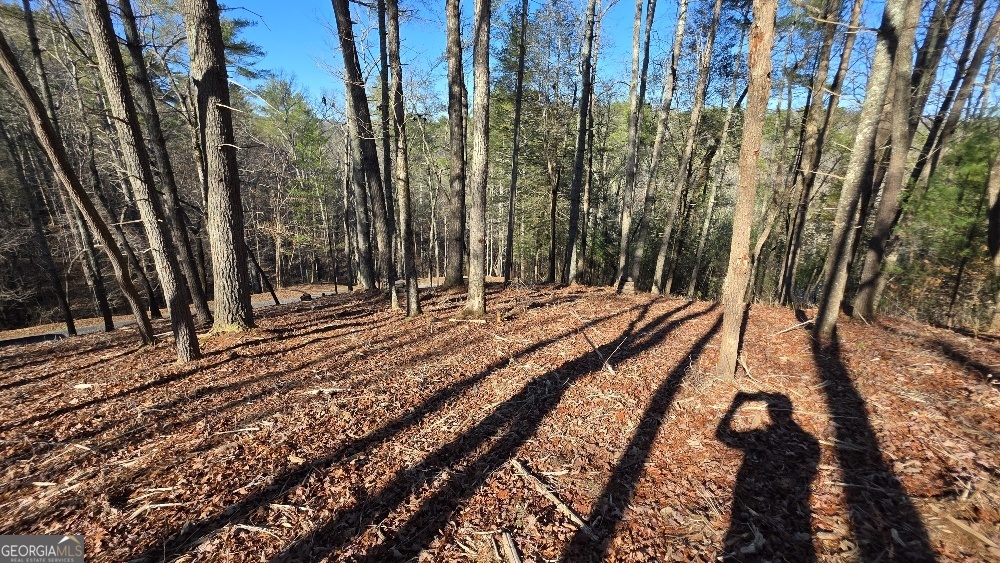 151 Rhondas Way East Ellijay GA 30540