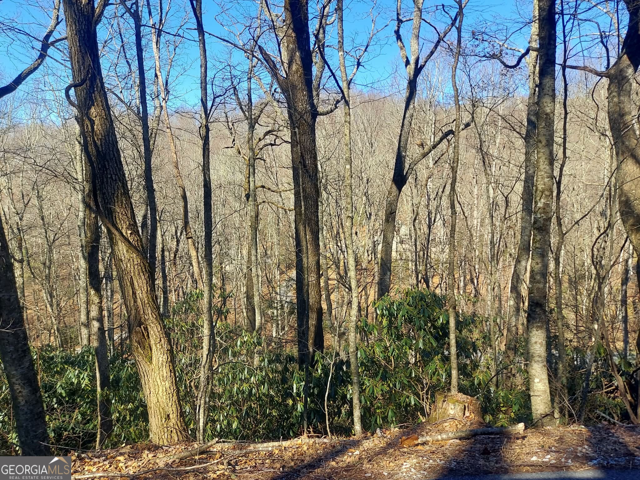 0 Lot 41 Rebel Circle Sky Valley GA 30537