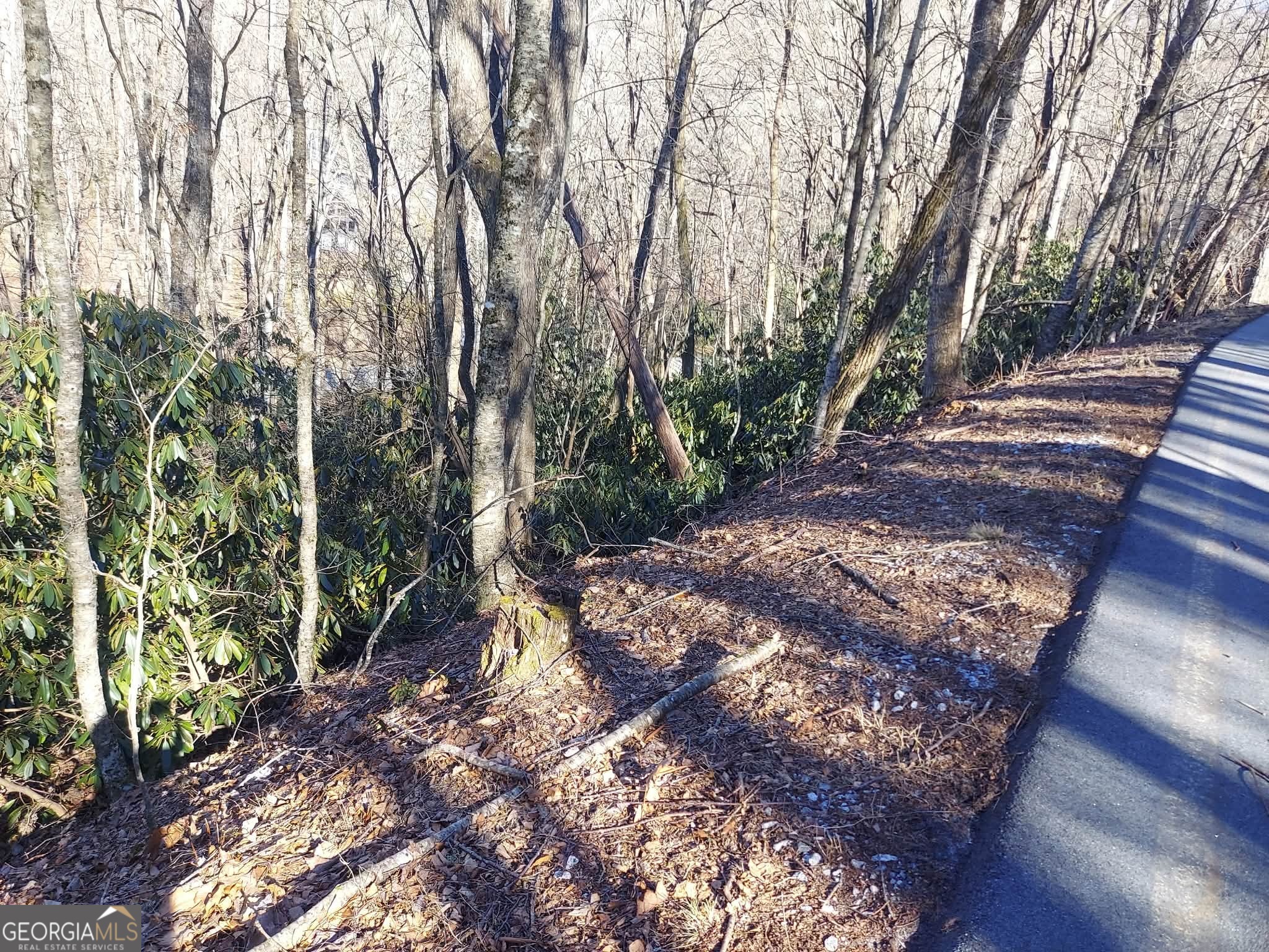 0 Lot 41 Rebel Circle Sky Valley GA 30537