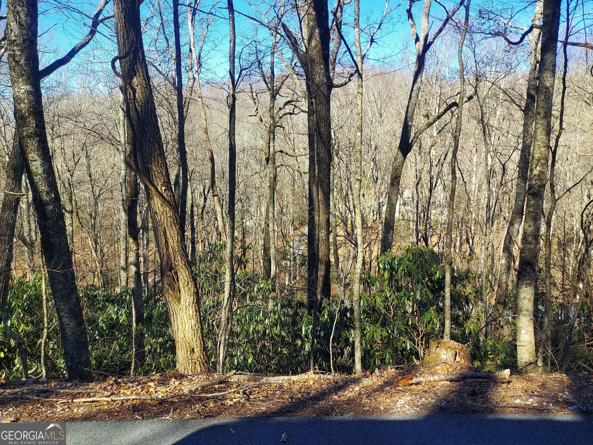 0 Lot 41 Rebel Circle Sky Valley GA 30537
