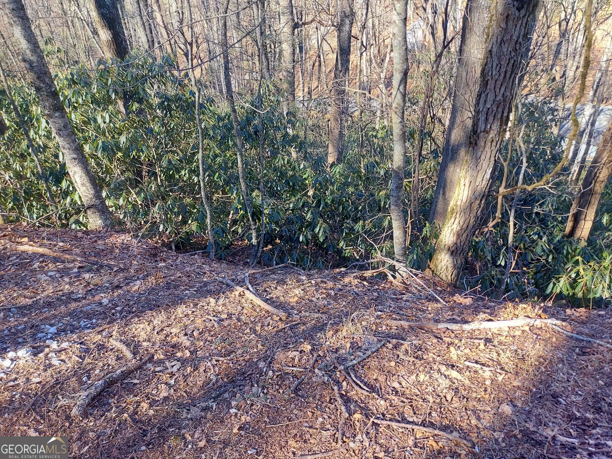 0 Lot 41 Rebel Circle Sky Valley GA 30537