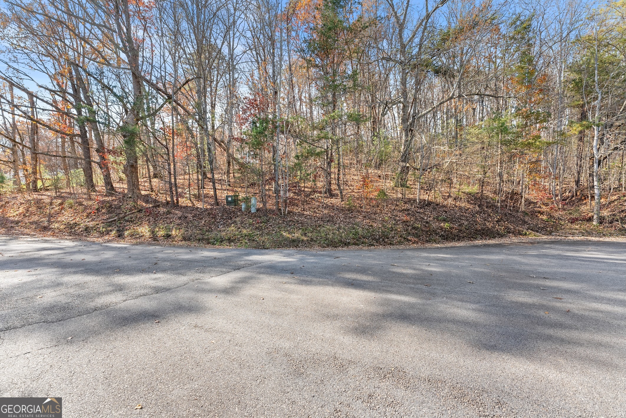 Lot 50 & 51 Meadow Crest Drive Cleveland GA 30528
