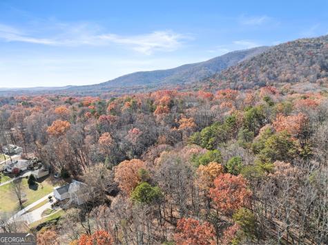 Lot 50 & 51 Meadow Crest Drive Cleveland GA 30528