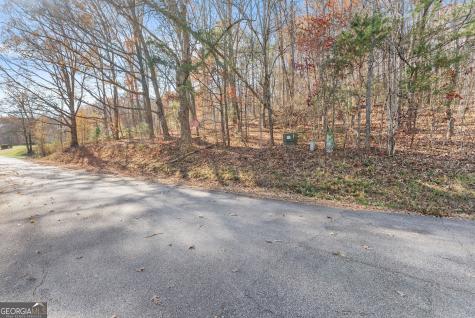 Lot 50 & 51 Meadow Crest Drive Cleveland GA 30528