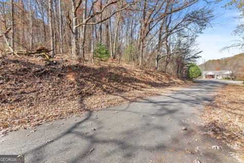 Lot 50 & 51 Meadow Crest Drive Cleveland GA 30528