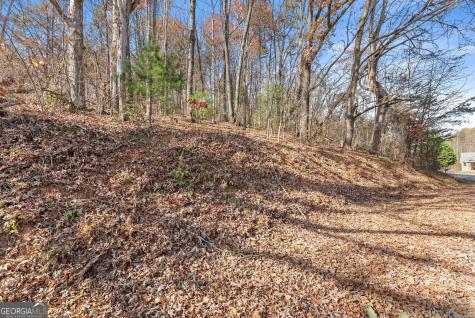 Lot 50 & 51 Meadow Crest Drive Cleveland GA 30528