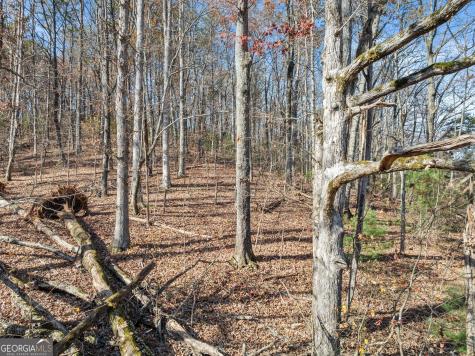 Lot 50 & 51 Meadow Crest Drive Cleveland GA 30528