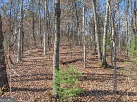Lot 50 & 51 Meadow Crest Drive Cleveland GA 30528