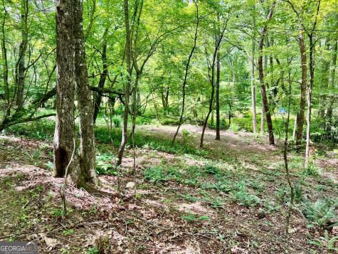 Lot 3 Lower Fox Trail Blairsville GA 30512