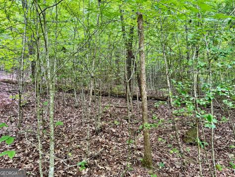 Lot 3 Lower Fox Trail Blairsville GA 30512
