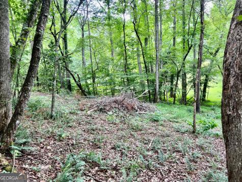 Lot 3 Lower Fox Trail Blairsville GA 30512