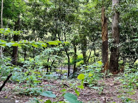 Lot 3 Lower Fox Trail Blairsville GA 30512