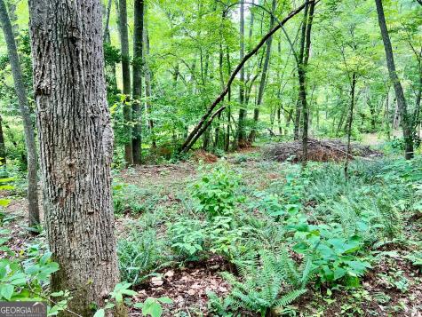 Lot 3 Lower Fox Trail Blairsville GA 30512