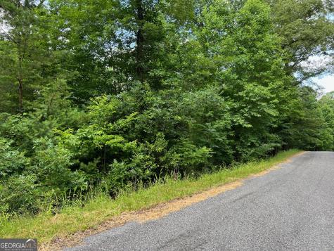 Lot 3 Lower Fox Trail Blairsville GA 30512