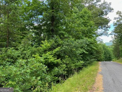 Lot 3 Lower Fox Trail Blairsville GA 30512