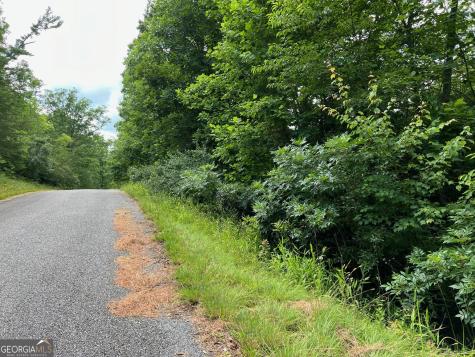 Lot 3 Lower Fox Trail Blairsville GA 30512