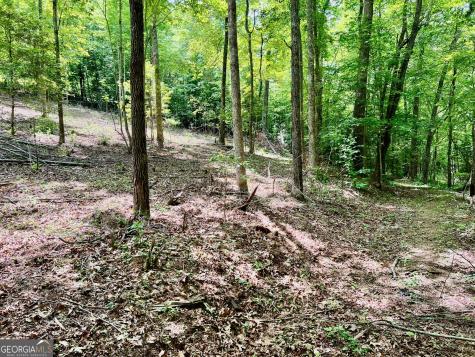 Lot 3 Lower Fox Trail Blairsville GA 30512