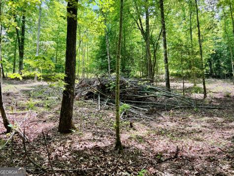Lot 3 Lower Fox Trail Blairsville GA 30512