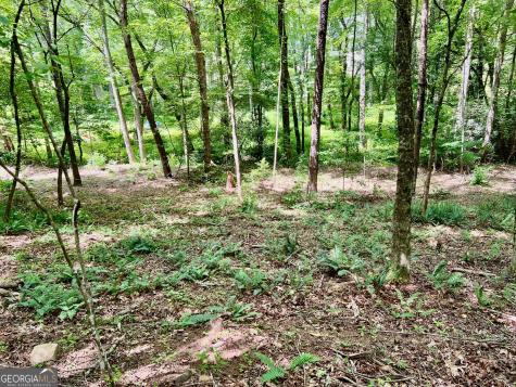 Lot 3 Lower Fox Trail Blairsville GA 30512