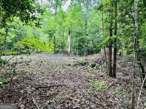 Lot 3 Lower Fox Trail Blairsville GA 30512