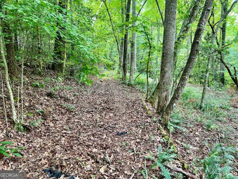 Lot 3 Lower Fox Trail Blairsville GA 30512