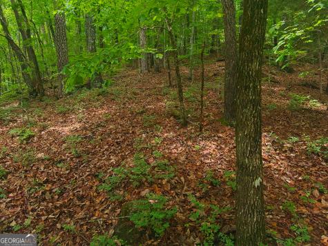 0 Laurel Lane Clayton GA 30525