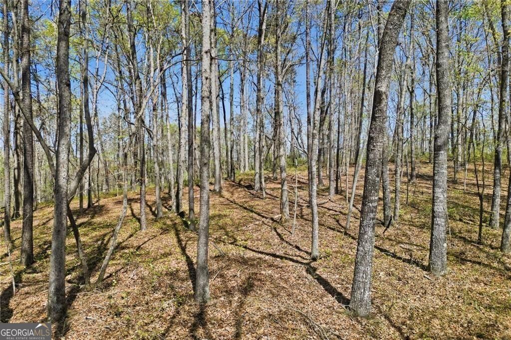109 Heritage Plantation Drive Ball Ground GA 30107