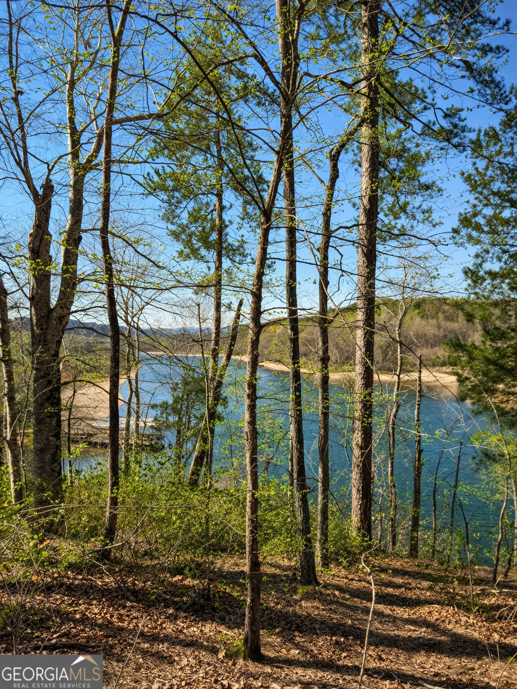 333 Laurel Mountain Drive Toccoa GA 30577