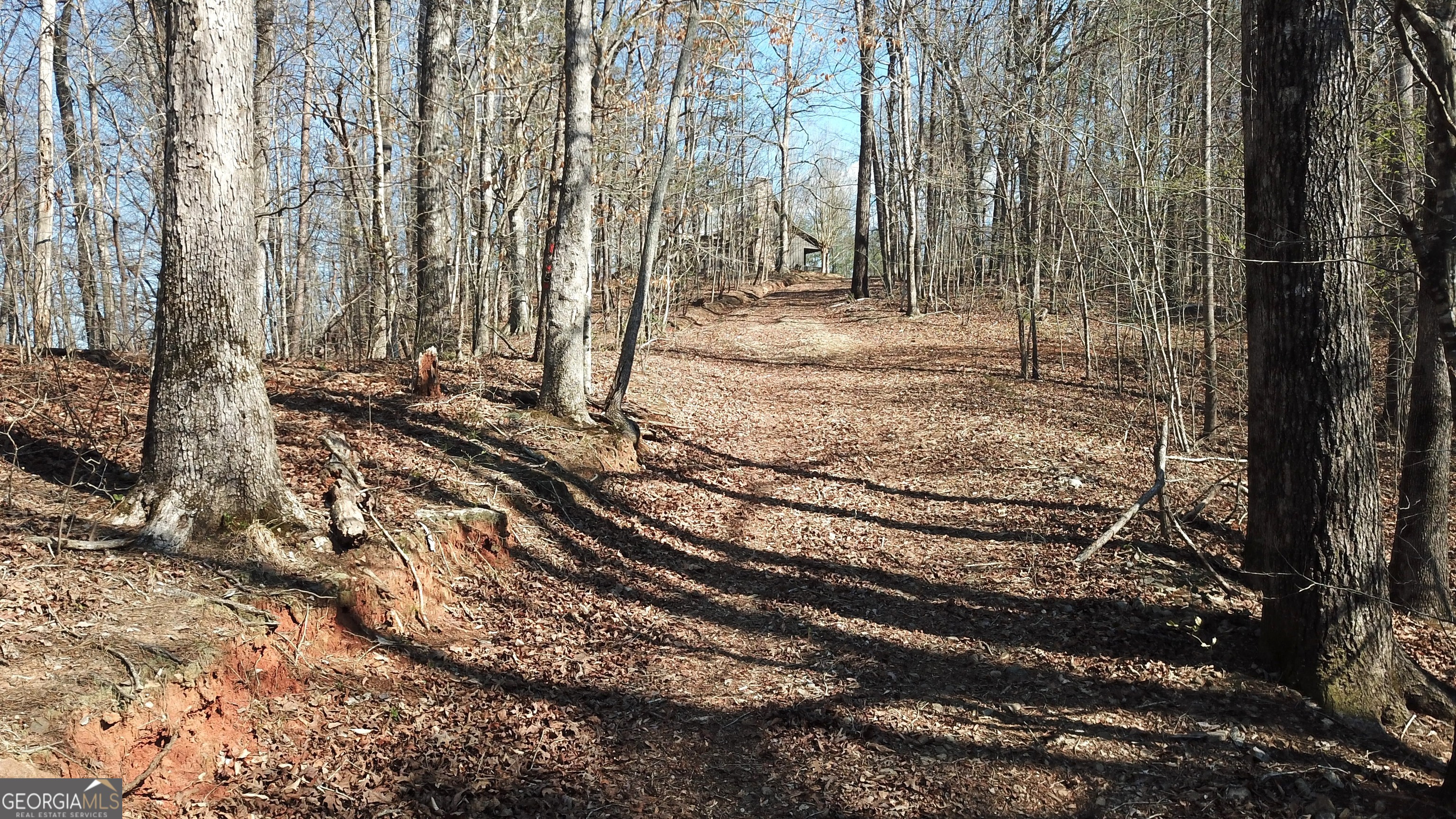 333 Laurel Mountain Drive Toccoa GA 30577