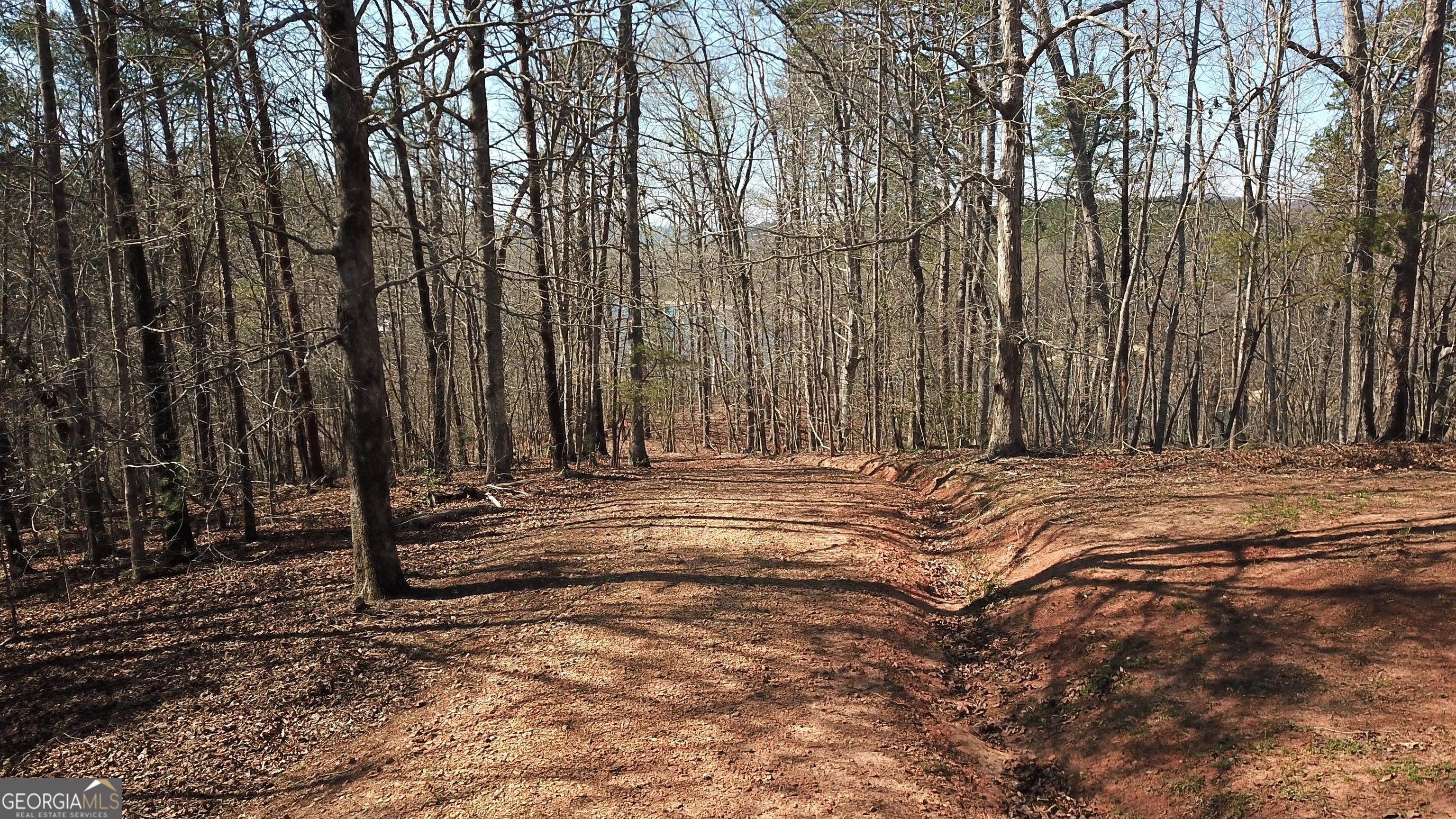 333 Laurel Mountain Drive Toccoa GA 30577