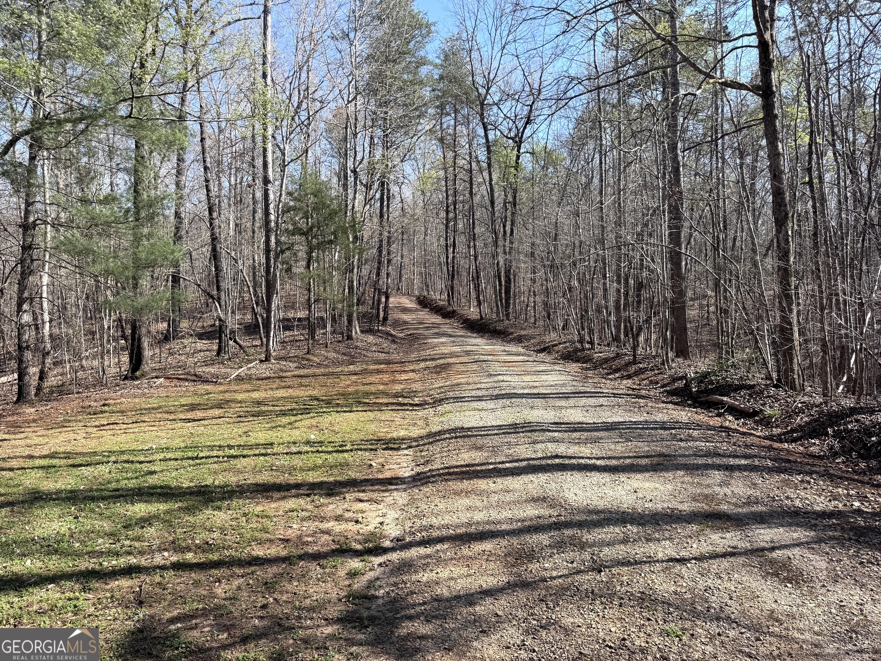 333 Laurel Mountain Drive Toccoa GA 30577