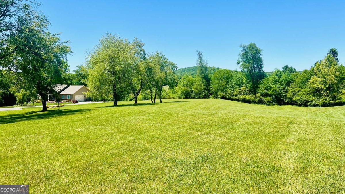 Lot 108 Owen Glen Blairsville GA 30512
