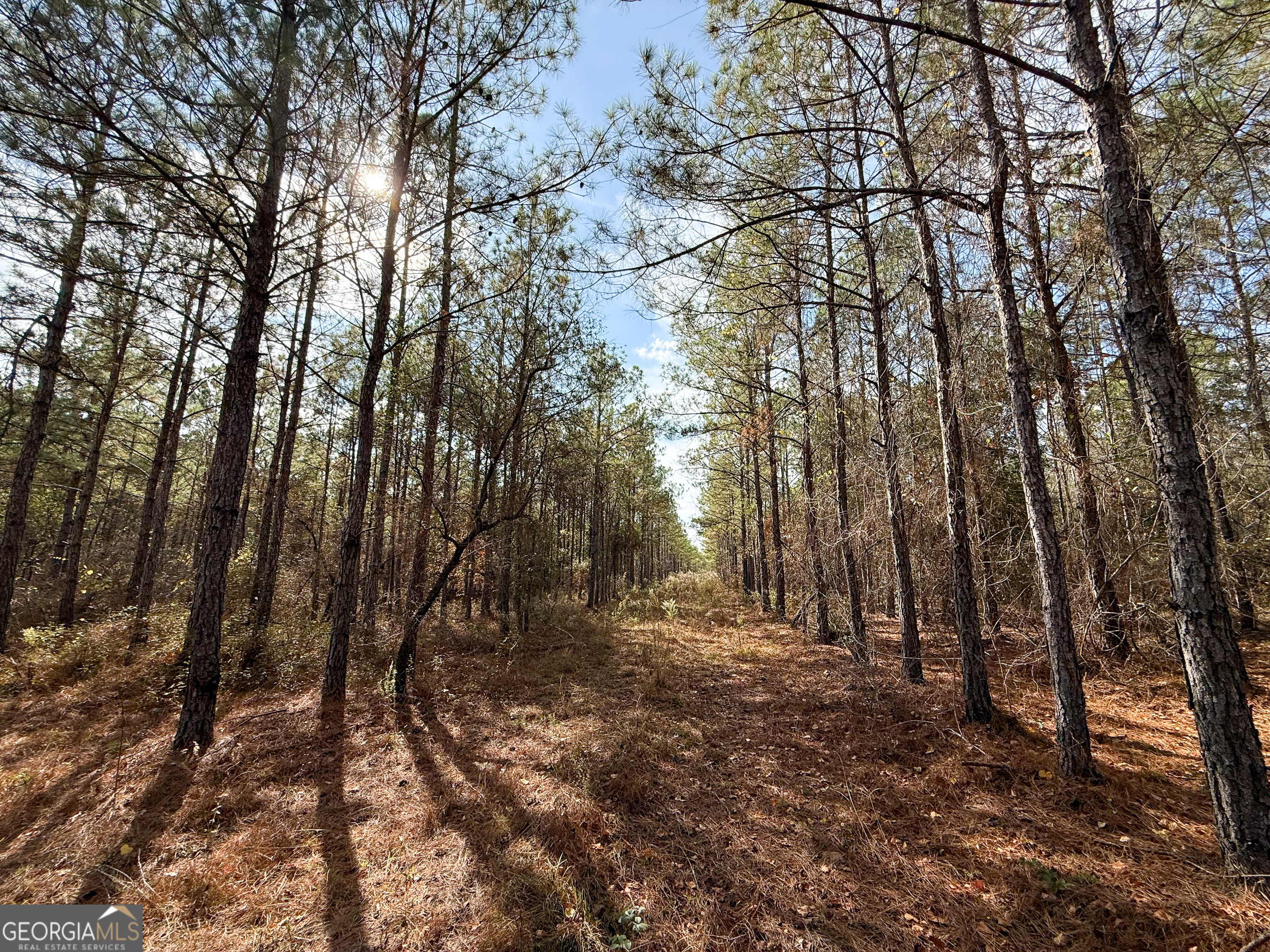 0 Bells Ferry Road Lumber City GA 31549