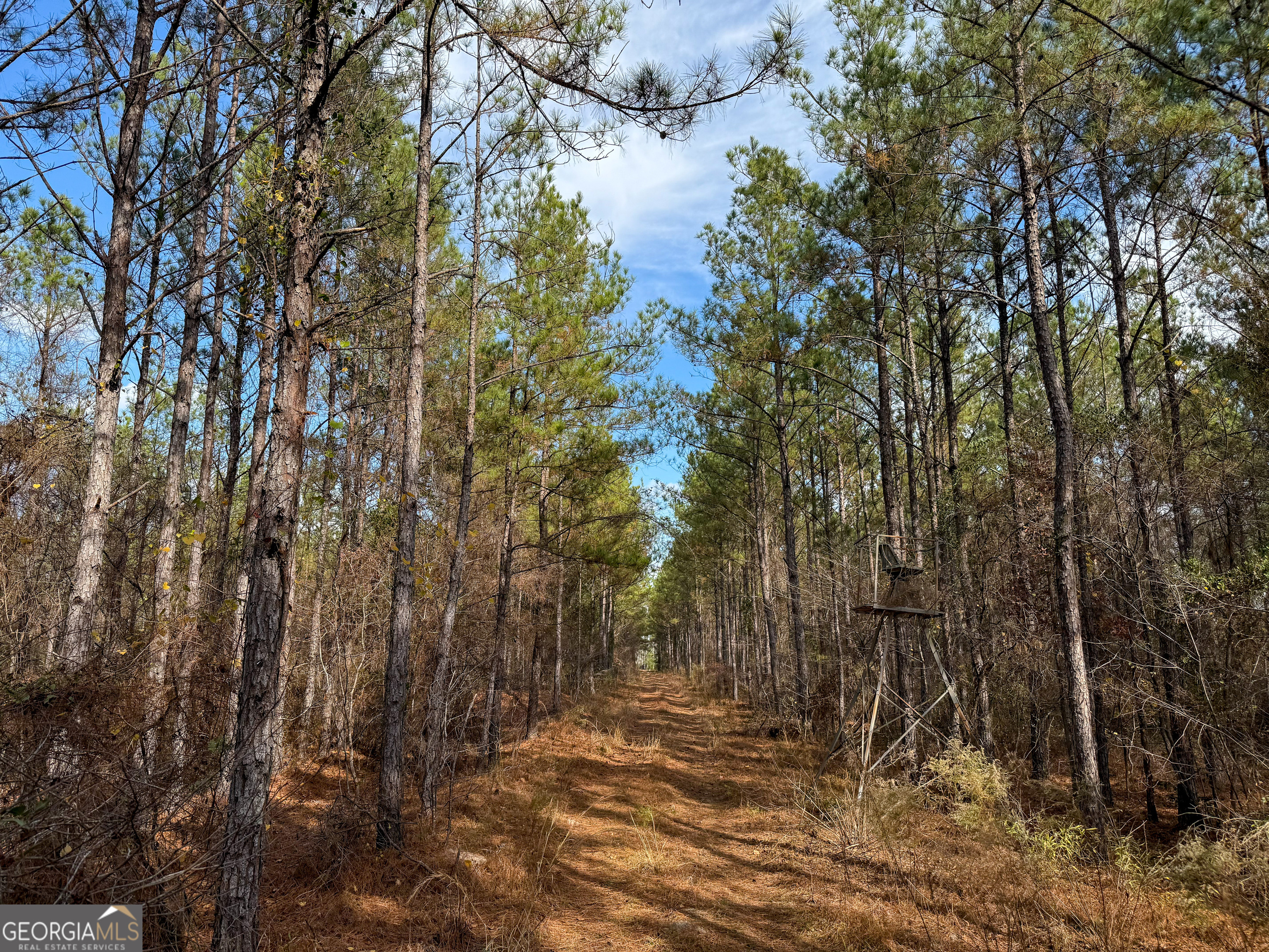 0 Bells Ferry Road Lumber City GA 31549