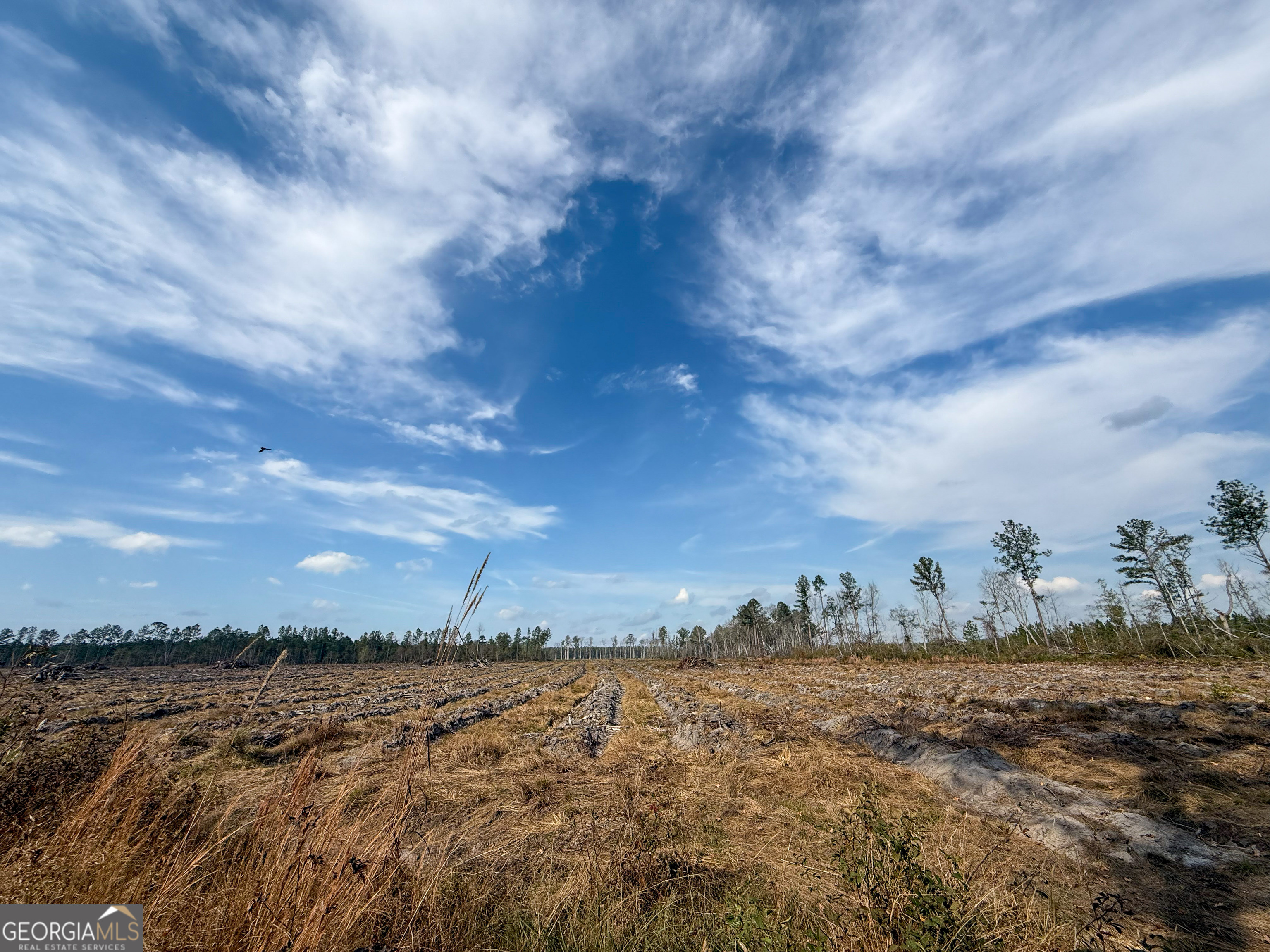 0 Bells Ferry Road Lumber City GA 31549