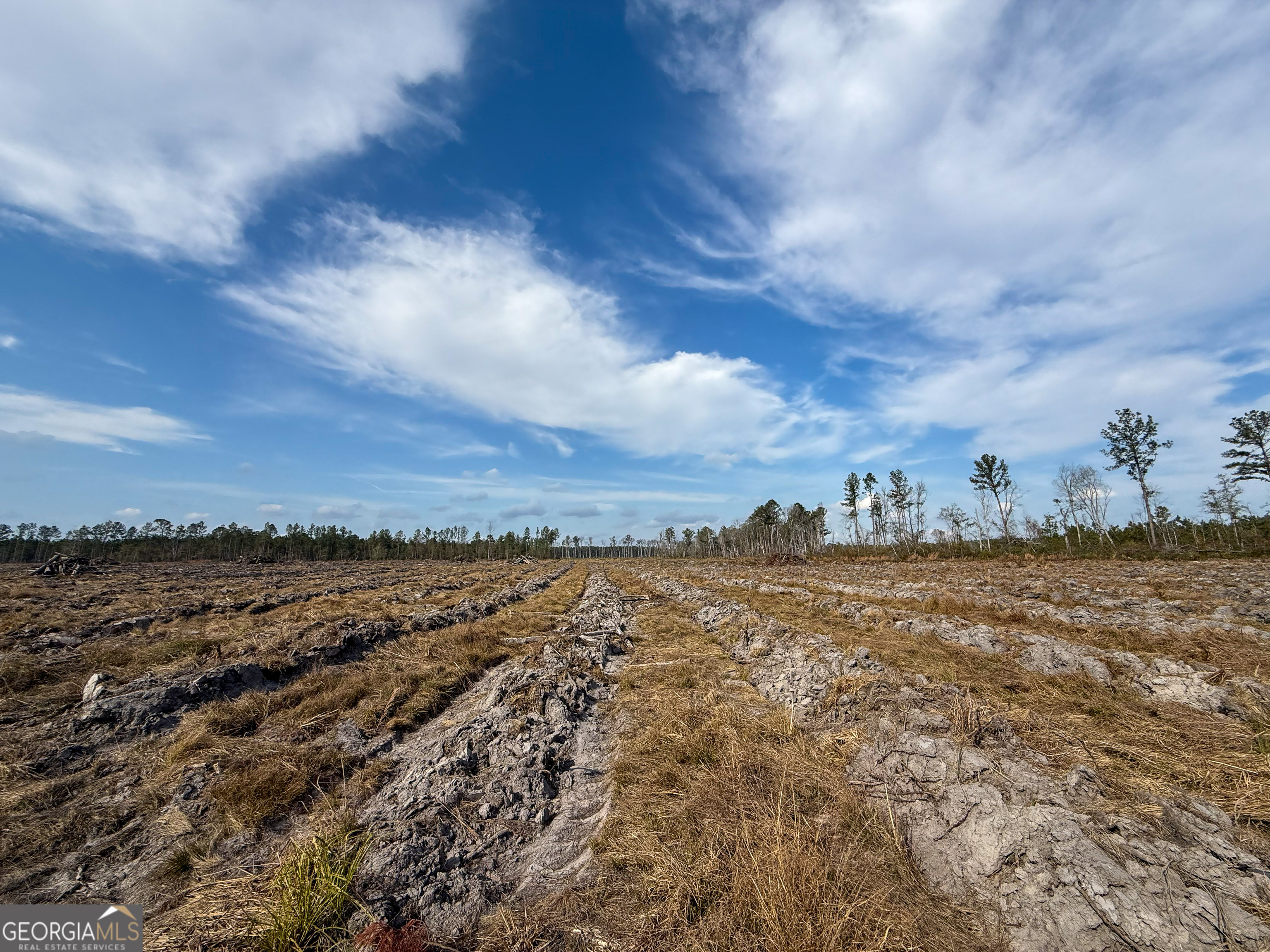 0 Bells Ferry Road Lumber City GA 31549