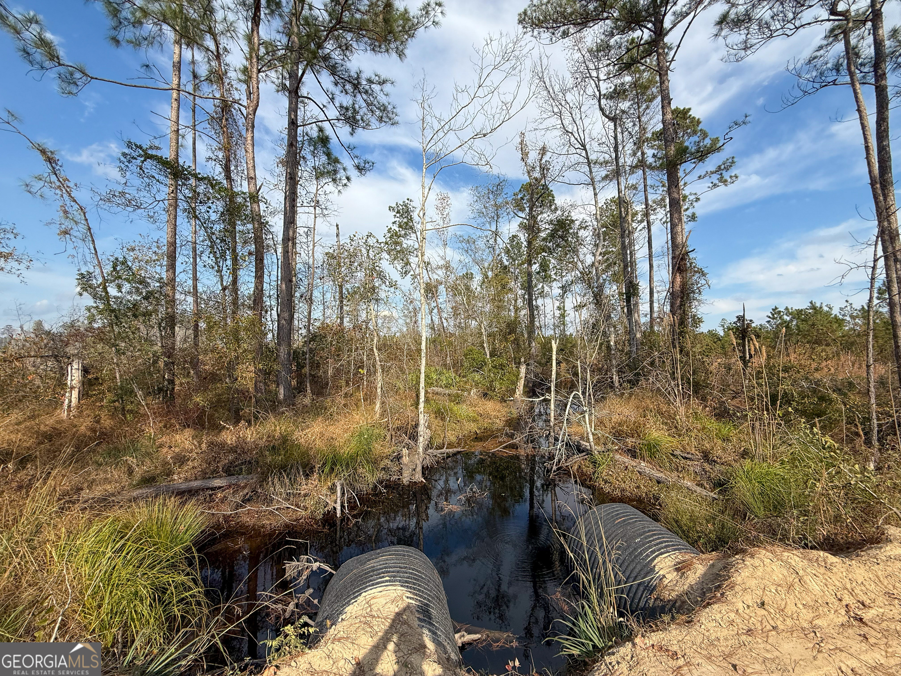 0 Bells Ferry Road Lumber City GA 31549