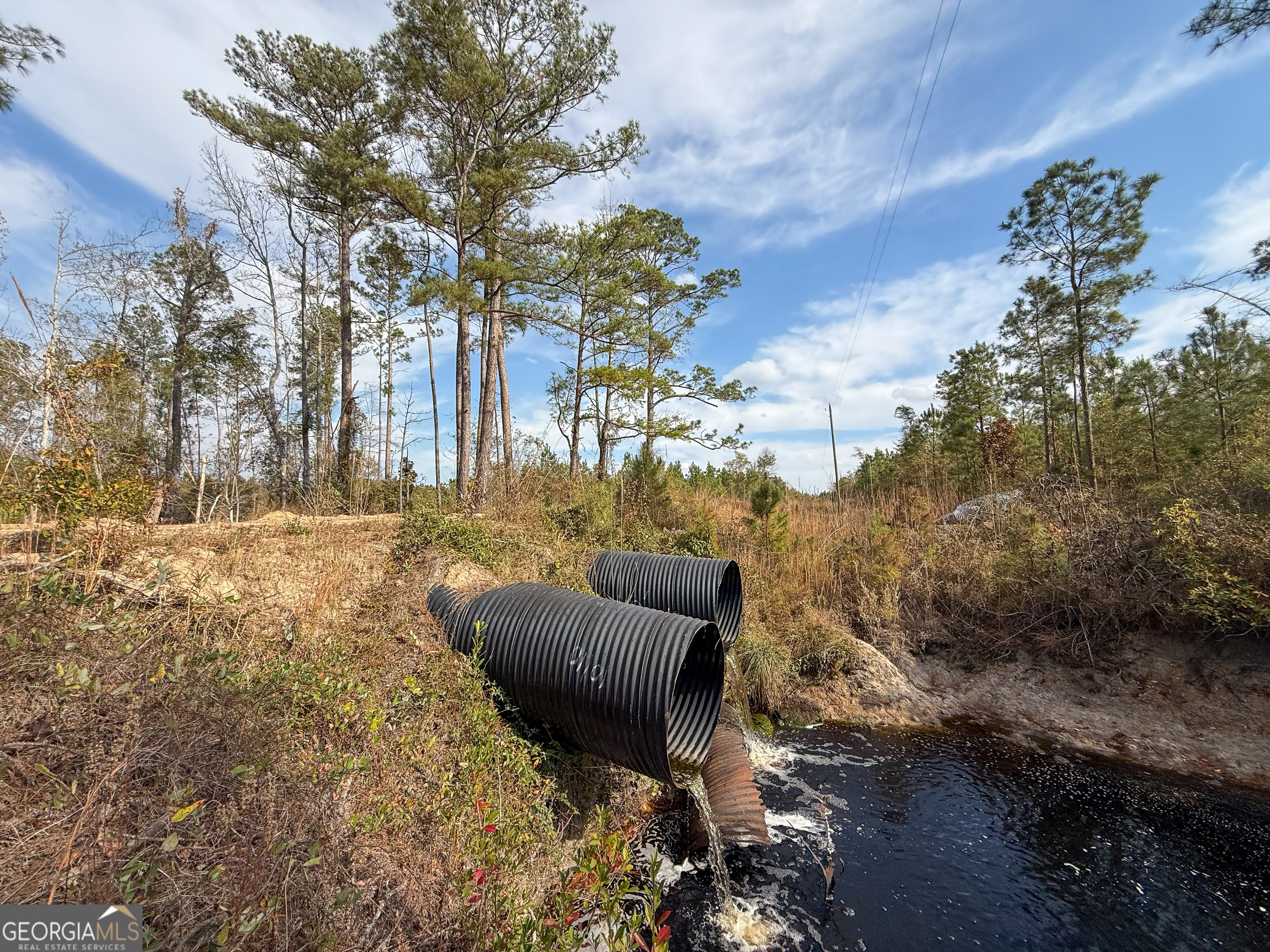 0 Bells Ferry Road Lumber City GA 31549