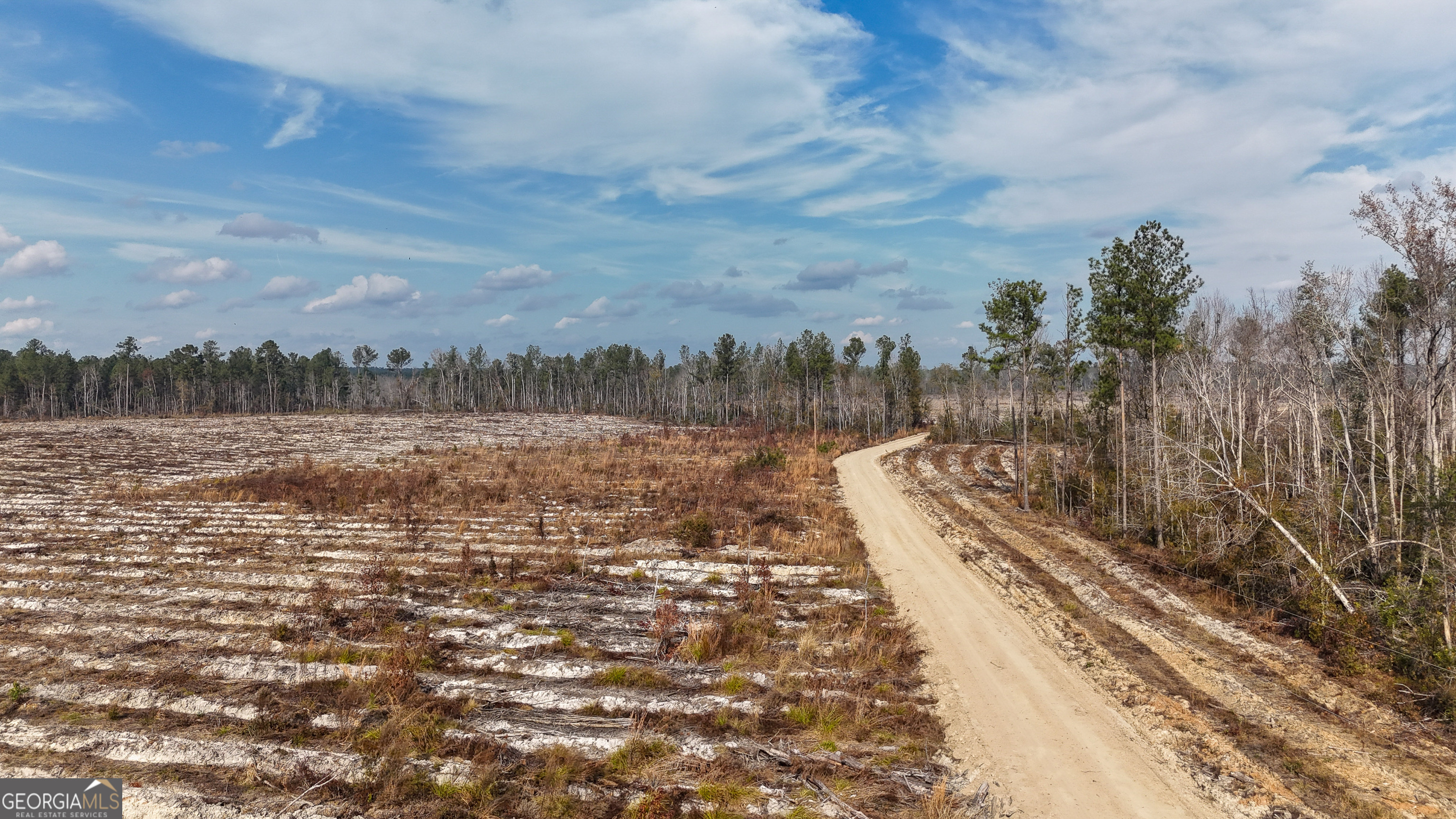 0 Bells Ferry Road Lumber City GA 31549