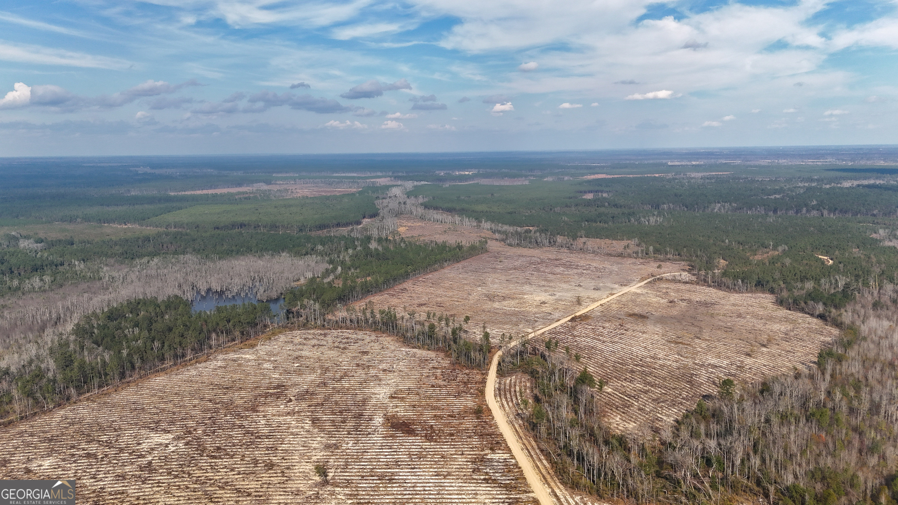 0 Bells Ferry Road Lumber City GA 31549